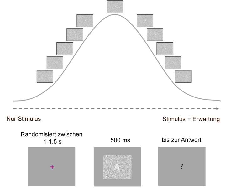 How Expectations Speed Up Perception